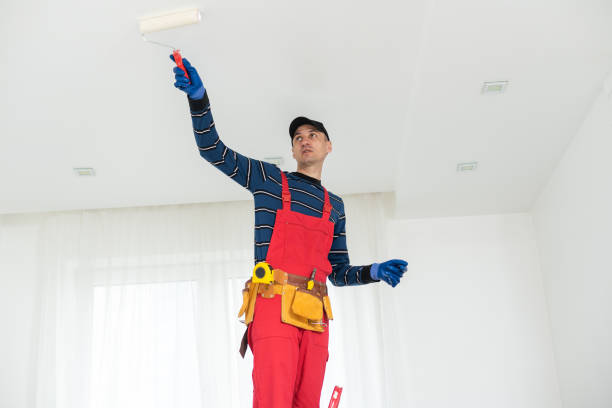 Best Water-Damaged Drywall Repair  in Merrimac, VA